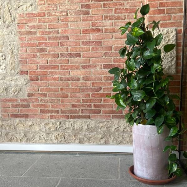 Carrelage terre cuite de qualité en briquette pour intérieur et extérieur - Uzès dans le Gard